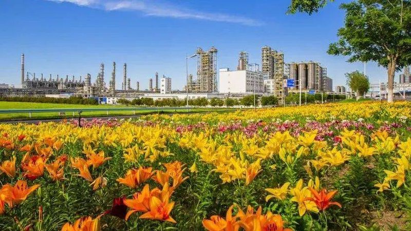 广州有机化工原料价格解析：影响因素与选购策略